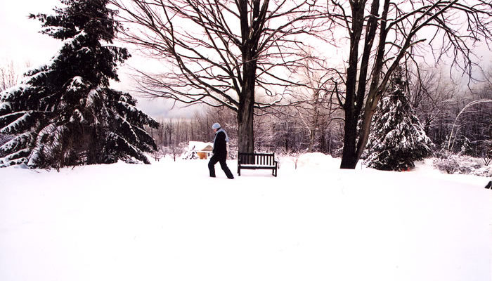 Winter walking meditation.